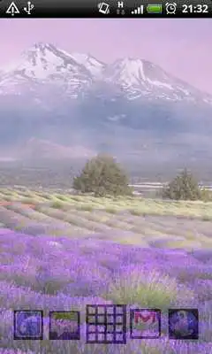 Play live wallpaper lavender
