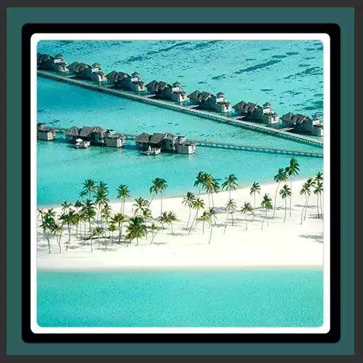 Free play online Live Wallpapers – Beach  APK