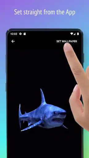 Play Live Wallpapers