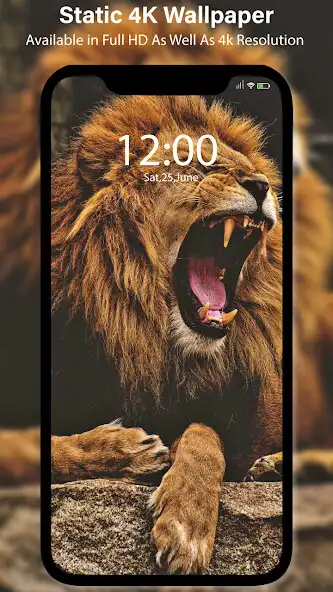 Play Live Wallpapers  Wall Loop  and enjoy Live Wallpapers  Wall Loop with UptoPlay
