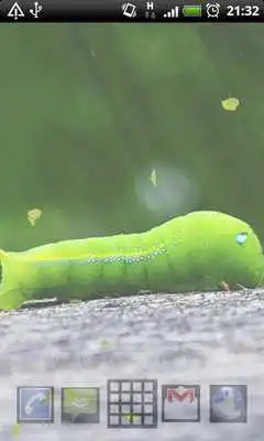 Play live worms wallpaper Play live worms wallpaper