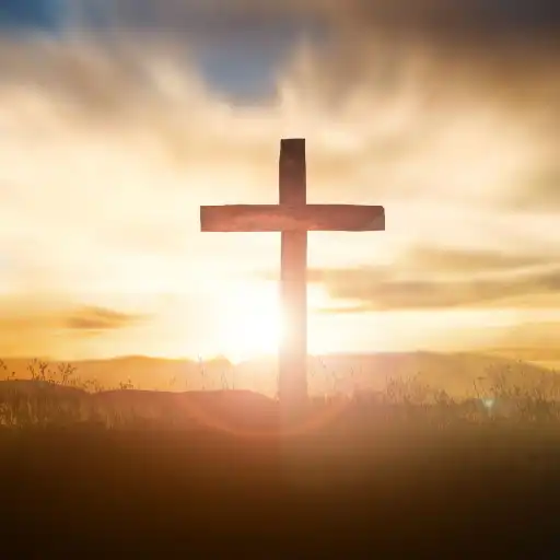 Play Living Hope Mennonite Church APK