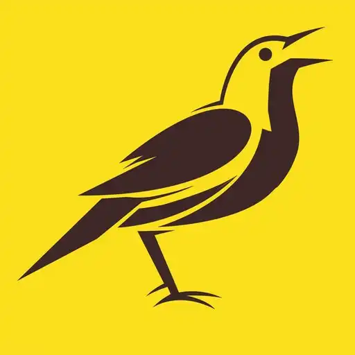 Play Living Local by KAT APK Play Living Local by KAT APK