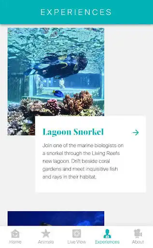 Play Living Reef - Daydream Island and enjoy Living Reef - Daydream Island with UptoPlay Play Living Reef - Daydream Island and enjoy Living Reef - Daydream Island with UptoPlay