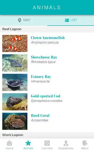 Play Living Reef - Daydream Island as an online game online Living Reef - Daydream Island with UptoPlay com.daydreamisland.livingreef Play Living Reef - Daydream Island as an online game Living Reef - Daydream Island with UptoPlay