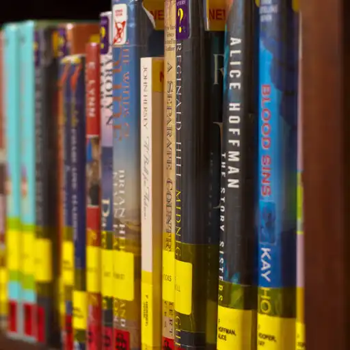 Play Livres Anglais APK