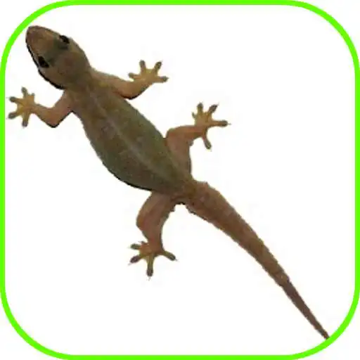 Play Lizard Fall APK