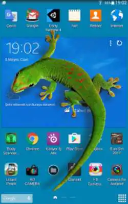 Play Lizard in phone funny joke