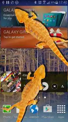 Play Lizard in phone funny joke