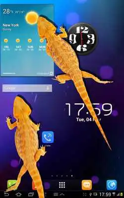 Play Lizard in phone funny joke