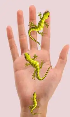 Play Lizard on hand Camera Prank