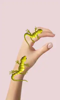 Play Lizard on hand Camera Prank