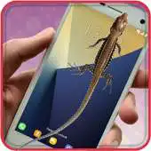 Free play online Lizard On Screen APK
