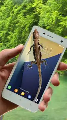 Play Lizard On Screen
