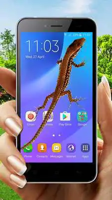 Play Lizard On Screen