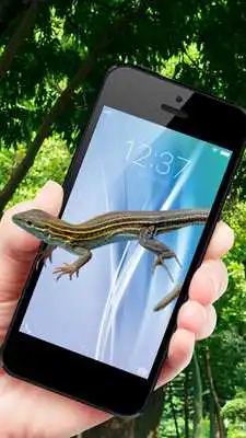 Play Lizard On Screen