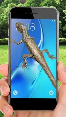 Play Lizard On Screen