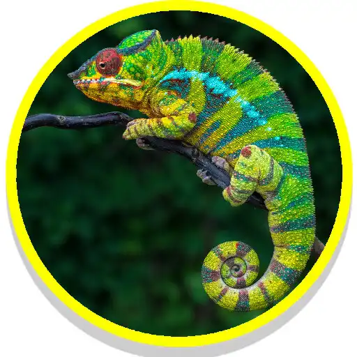 Play Lizard Sounds APK Play Lizard Sounds APK