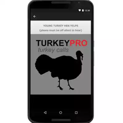 Play Llamadas Para Pavos-Guajolotes