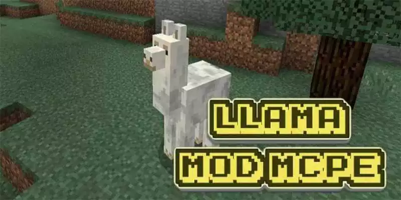 Play Llama MOD PE