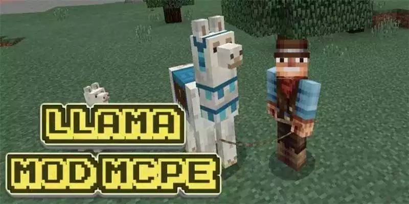 Play Llama MOD PE