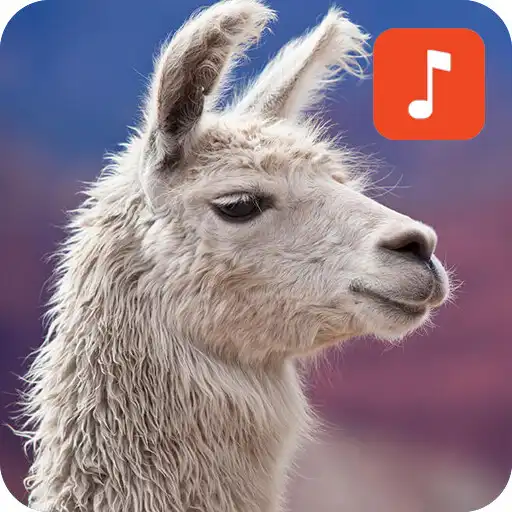 Play Llama Sound Effects APK