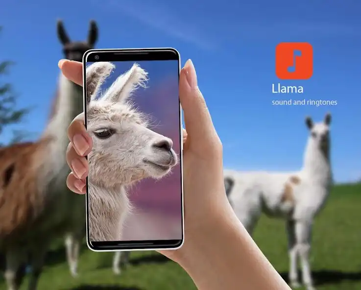 Play Llama Sound Effects  and enjoy Llama Sound Effects with UptoPlay