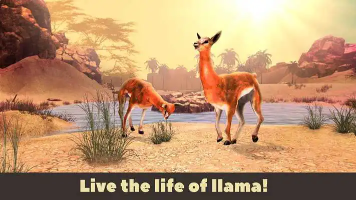 Play Llama Wild Life Simulator 3D