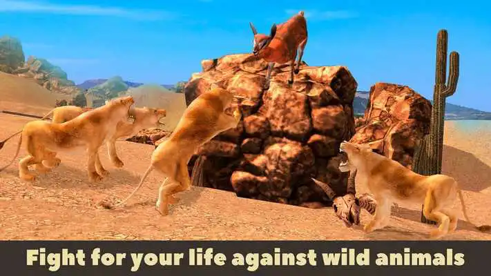 Play Llama Wild Life Simulator 3D