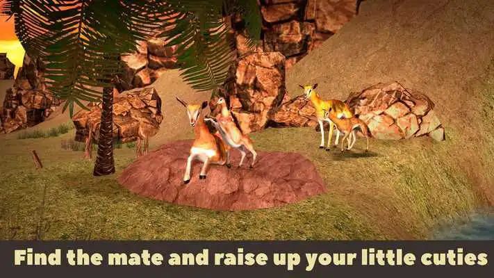 Play Llama Wild Life Simulator 3D