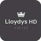 Free play online Lloydys APK