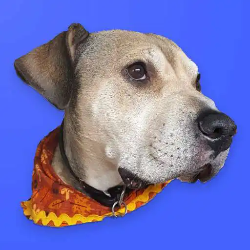 Play Loaf - dog meme generator APK