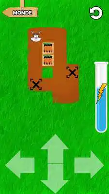 Play Logic game - PushCarrots