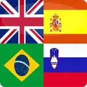 Free play online Logo Quiz - Guess The Flag APK