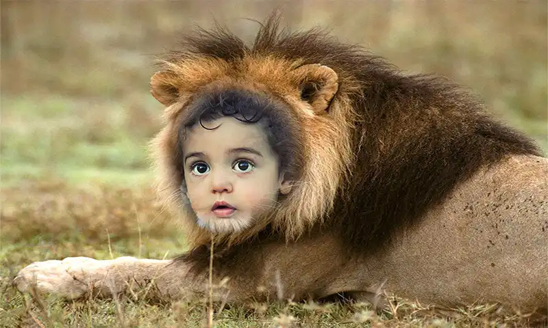 Play Loin Photo Frames  and enjoy Loin Photo Frames with UptoPlay