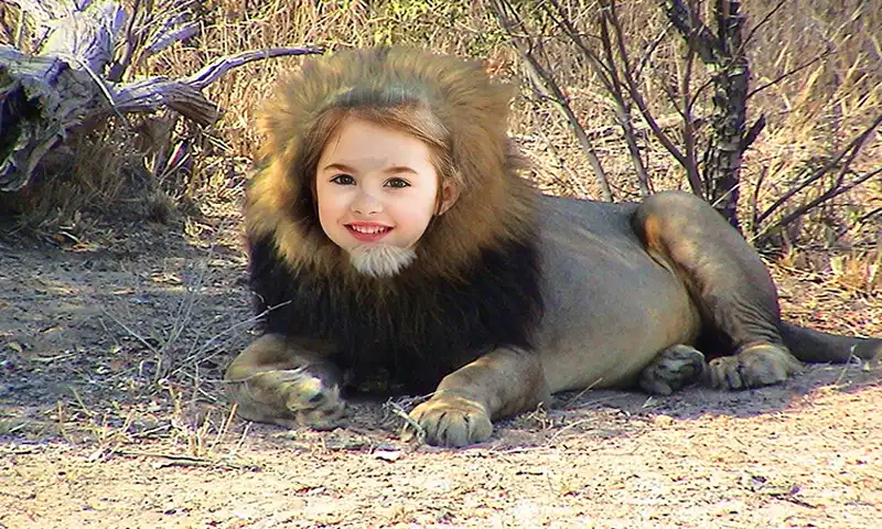 Play Loin Photo Frames as an online game Loin Photo Frames with UptoPlay