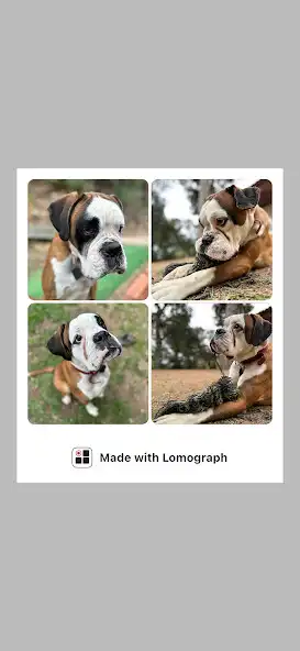Play Lomograph - Pola Instant 1888  and enjoy Lomograph - Pola Instant 1888 with UptoPlay