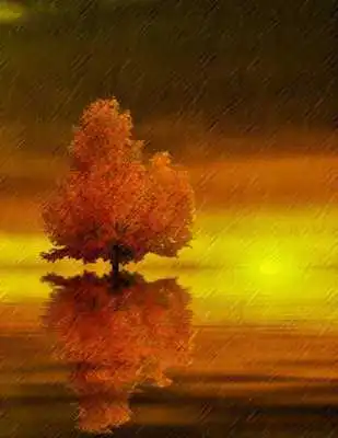 Play Lonely Beautiful Trees