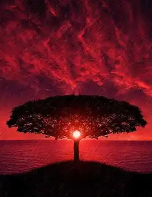 Play Lonely Beautiful Trees