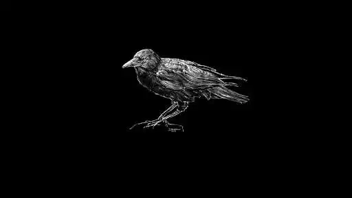 Play Lonely Raven. Birds Wallpapers
