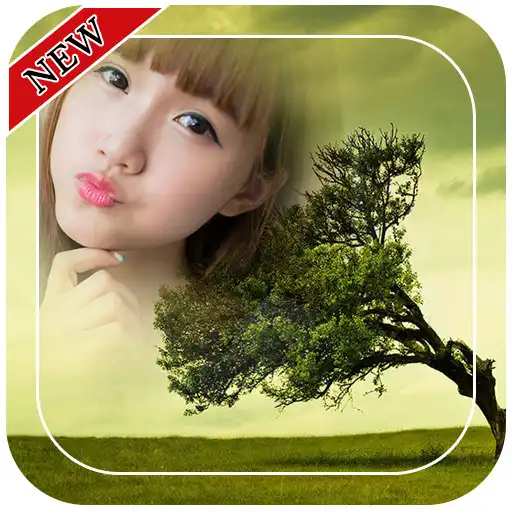 Free play online Lone Tree Photo Frames APK Free play online Lone Tree Photo Frames APK