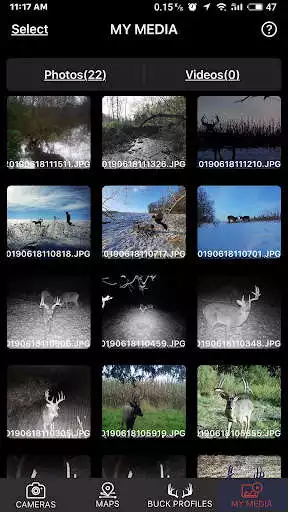 Play Lone Wolf Undercover as an online game Lone Wolf Undercover with UptoPlay