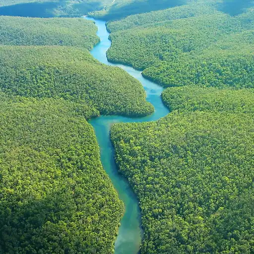 Play Longest rivers APK Play Longest rivers APK