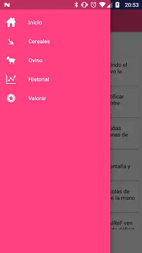 Play Lonja Albacete