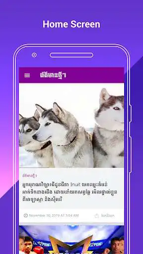 Play Looking Today News