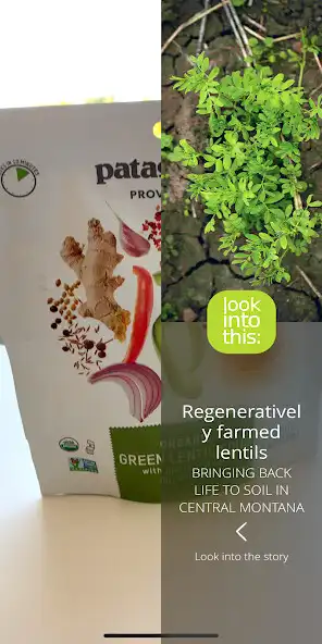 Play Look Into as an online game Look Into with UptoPlay