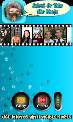 Play Look Like Puppy  and enjoy Look Like Puppy with UptoPlay