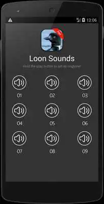 Play Loon Bird Sounds Play Loon Bird Sounds