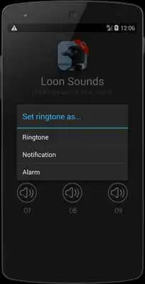 Play Loon Bird Sounds Play Loon Bird Sounds