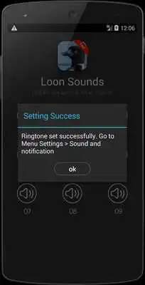 Play Loon Bird Sounds Play Loon Bird Sounds